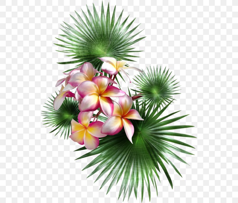 Palm Trees Flower Petal Painting, PNG, 540x699px, Palm Trees, Arecales, Flower, Flowering Plant, Painting Download Free