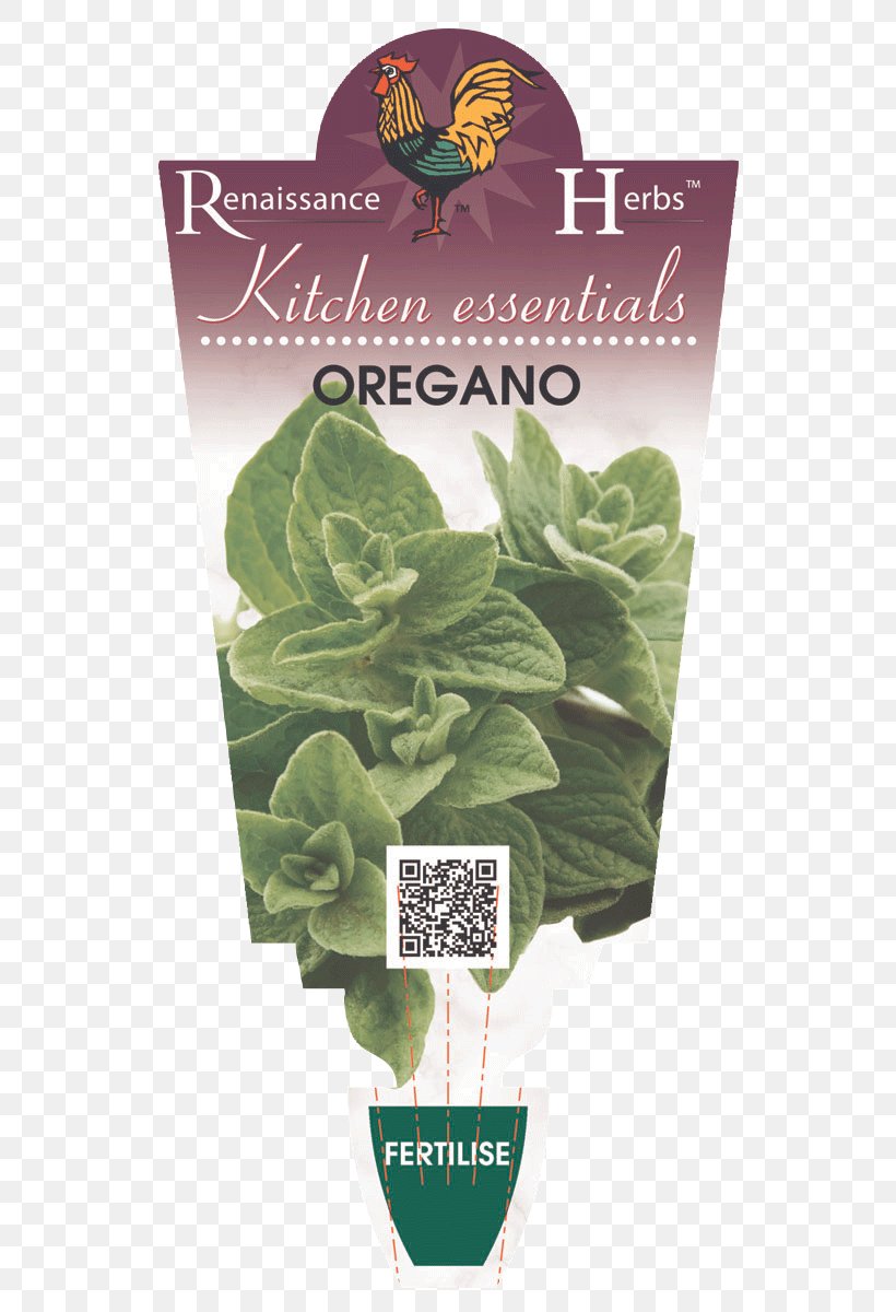 Romaine Lettuce Spring Greens Leaf Herb, PNG, 580x1200px, Romaine Lettuce, Food, Greens, Herb, Herbalism Download Free
