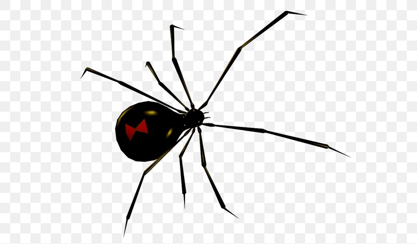 Widow Spiders Clip Art GIF, PNG, 562x481px, Widow Spiders, Animaatio, Animal, Arachnid, Arthropod Download Free