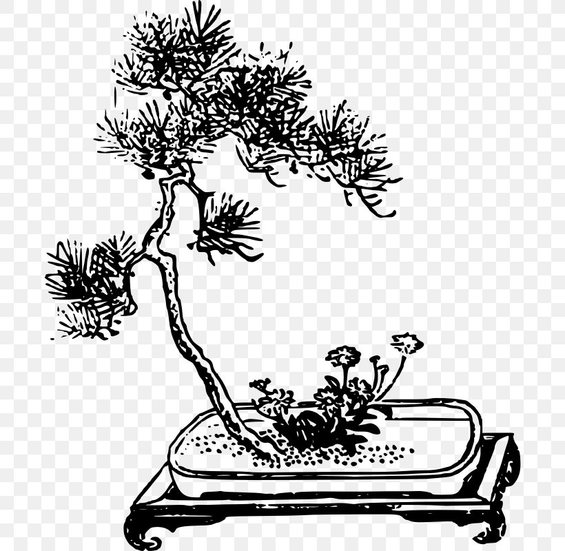 Branch Bonsai Da Interno Chinese Sweet Plum Houseplant, PNG, 692x800px, Branch, Art, Artwork, Black And White, Bonsai Download Free