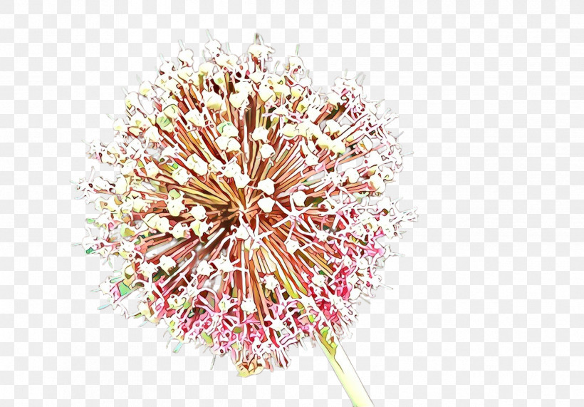 Pink Flower Plant Cut Flowers Allium, PNG, 2395x1668px, Pink, Allium, Cut Flowers, Dandelion, Flower Download Free