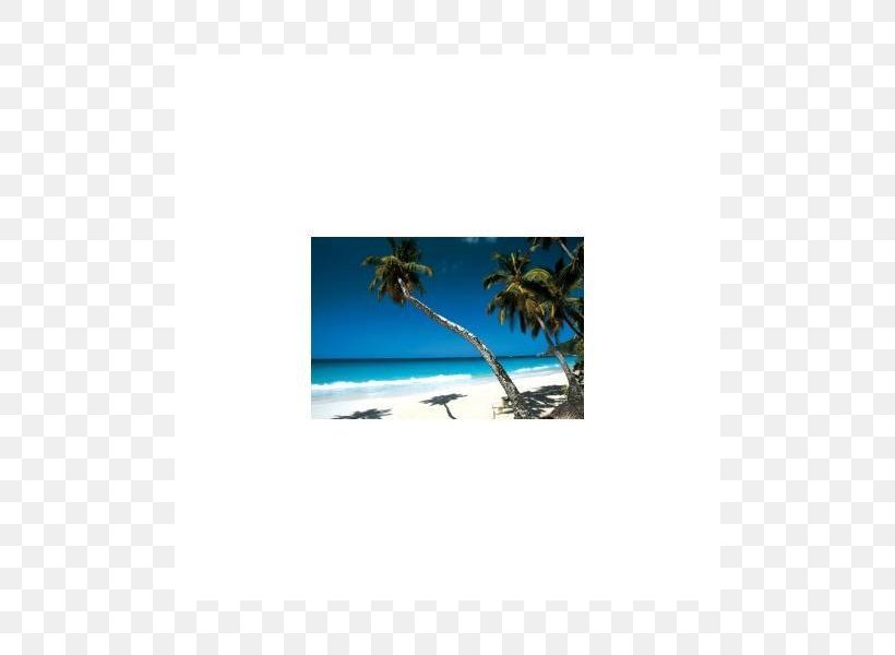 Seychelles Picture Frames Rectangle Microsoft Azure, PNG, 800x600px, Seychelles, Microsoft Azure, Picture Frame, Picture Frames, Rectangle Download Free