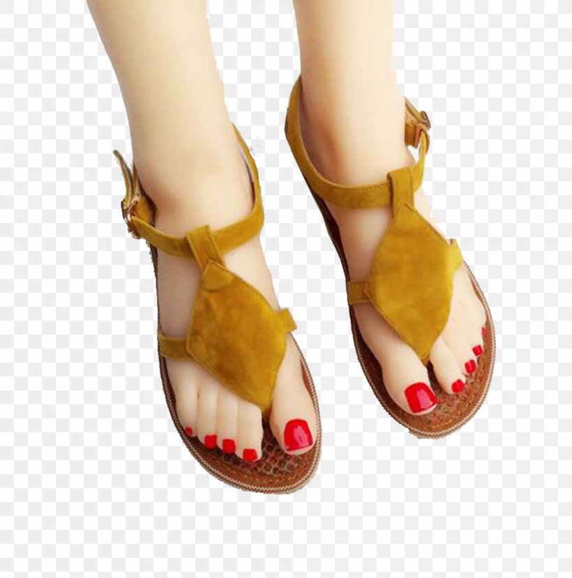 Slipper Sandal Flip-flops Shoe, PNG, 1001x1012px, Slipper, Designer, Flipflops, Footwear, Gratis Download Free