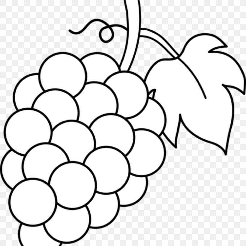 Common Grape Vine Coloring Book Grape Leaves Fruit, PNG, 1024x1024px, Common Grape Vine, Area, Art, Berry, Black And White Download Free