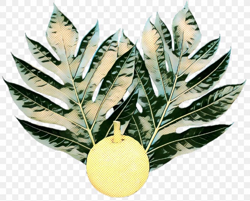 Mango Leaf, PNG, 990x800px, Fruit, Botanical Garden, Breadfruit, Feijoa, Flower Download Free