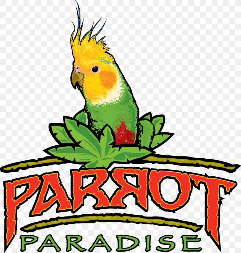 Parrot Bird Parakeet Macaw Pet, PNG, 1250x1309px, Parrot, Animal, Artwork, Beak, Bird Download Free