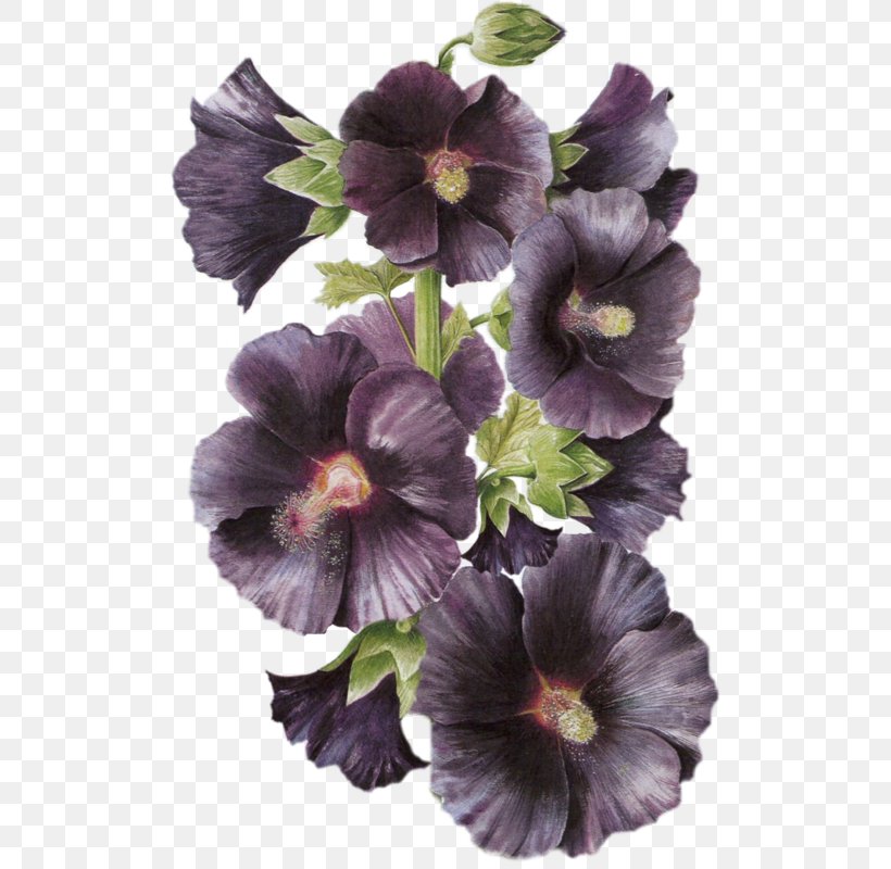 Flower Pansy Petal, PNG, 522x800px, Flower, Flowering Plant, Herbaceous Plant, Hollyhocks, Landscape Download Free