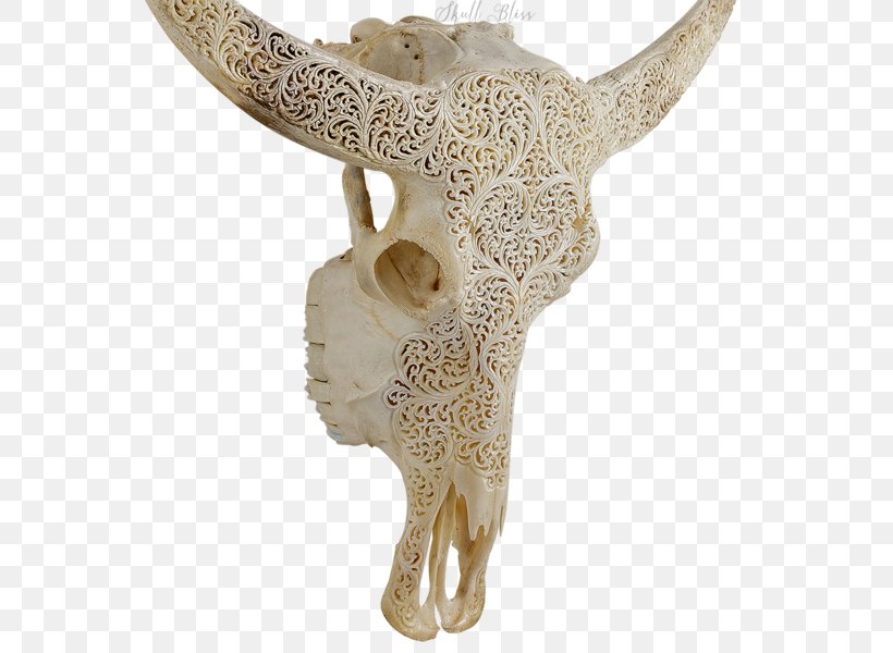 Animal Skulls Skeleton XL Horns Cattle, PNG, 600x600px, Animal Skulls, American Bison, Animal, Artifact, Ave Maria Download Free