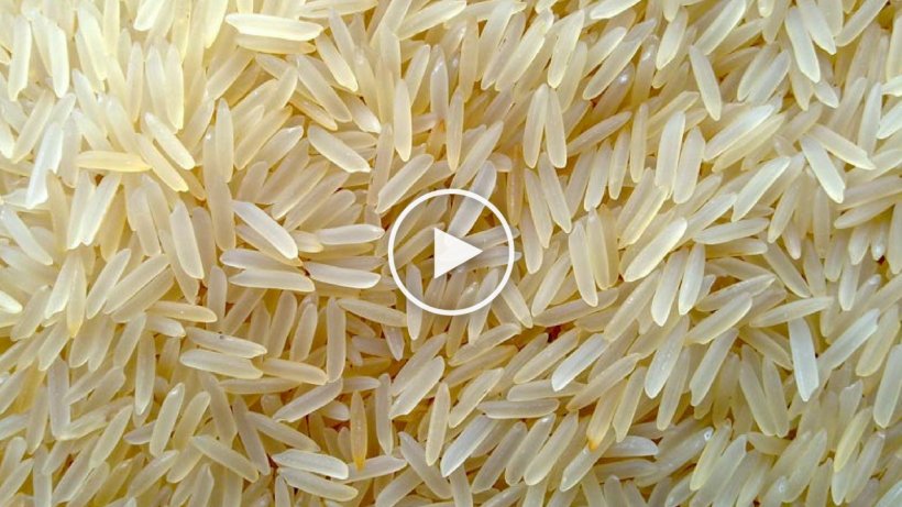 Basmati Parboiled Rice Cereal Food, PNG, 1280x720px, Basmati, Brown Rice, Cereal, Commodity, Export Download Free