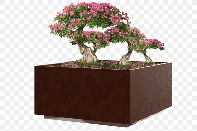 Chinese Sweet Plum Flowerpot Tree, PNG, 1050x700px, Chinese Sweet Plum, Bonsai, Flowerpot, Furniture, Houseplant Download Free