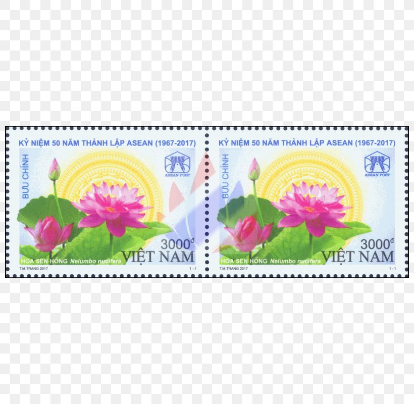 Burma Nelumbo Nucifera Association Of Southeast Asian Nations Philippines Indonesia, PNG, 800x800px, Burma, Flower, Indonesia, Jasmine, Lotus Download Free