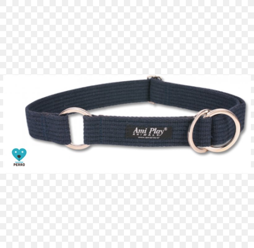 Dog Collar Dog Collar Necklace Blue, PNG, 800x800px, Dog, Belt, Blue, Collar, Color Download Free
