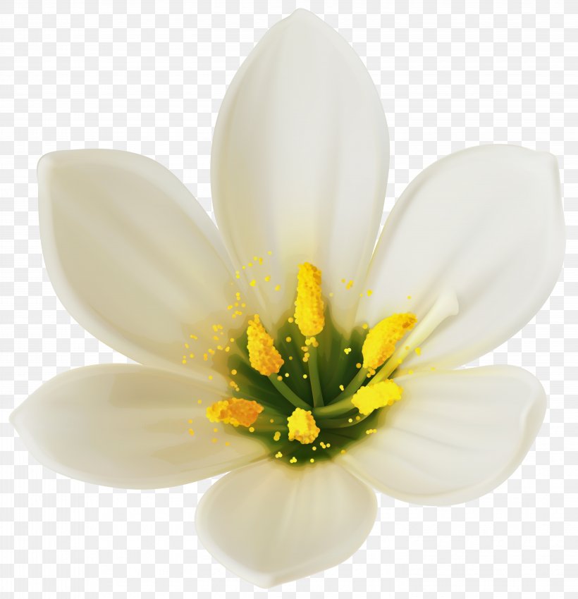 Flower Bouquet White Clip Art, PNG, 5877x6098px, Flower, Color, Flora, Flower Bouquet, Flowering Plant Download Free