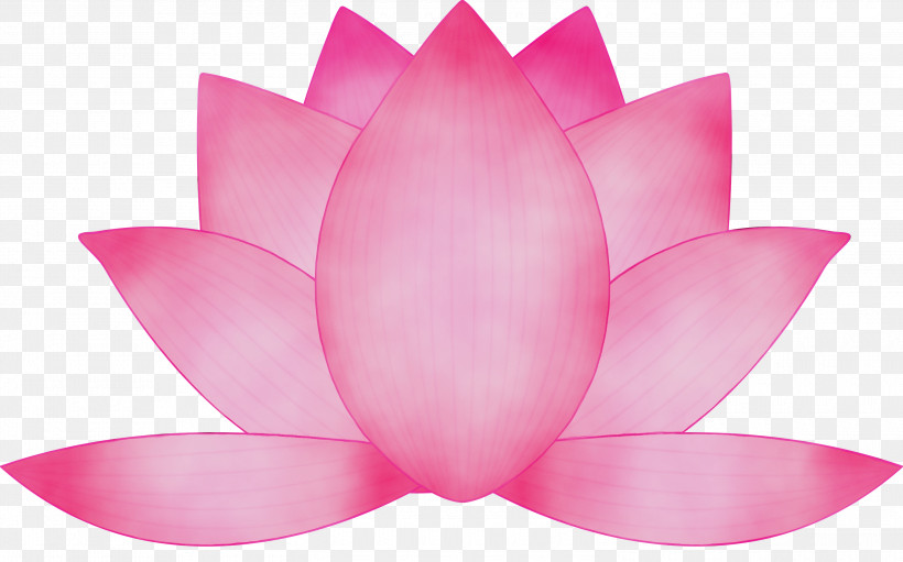 Lotus, PNG, 3000x1871px, Lotus, Aquatic Plant, Flower, Lotus Family, Paint Download Free