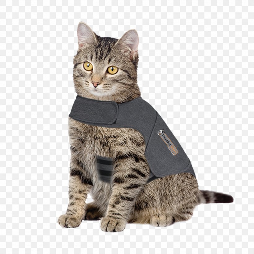 Cat Dog Veterinarian Pet Jacket, PNG, 1500x1500px, Cat, American Shorthair, American Wirehair, Anxiety, Asian Download Free