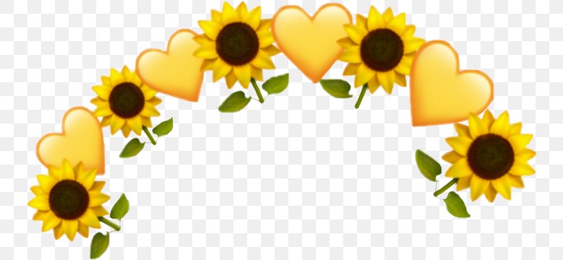 Heart Emoji Background, PNG, 746x379px, Common Sunflower, Crown, Daisy Family, Drawing, Emoji Download Free
