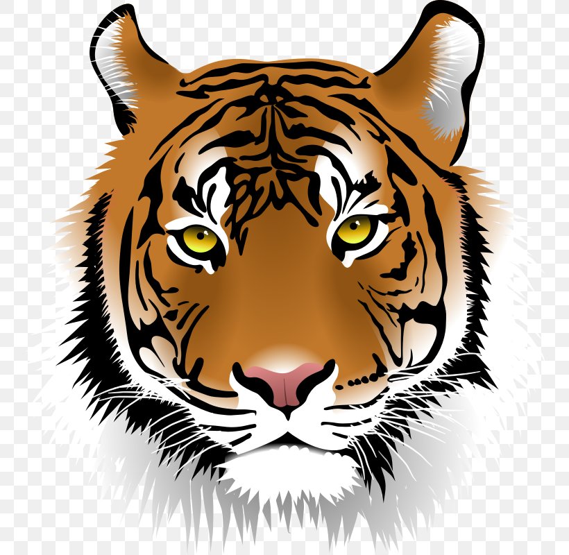 Free Content Bengal Tiger Sumatran Tiger Clip Art, PNG, 754x800px, Free Content, Animal, Bengal Tiger, Big Cats, Carnivoran Download Free