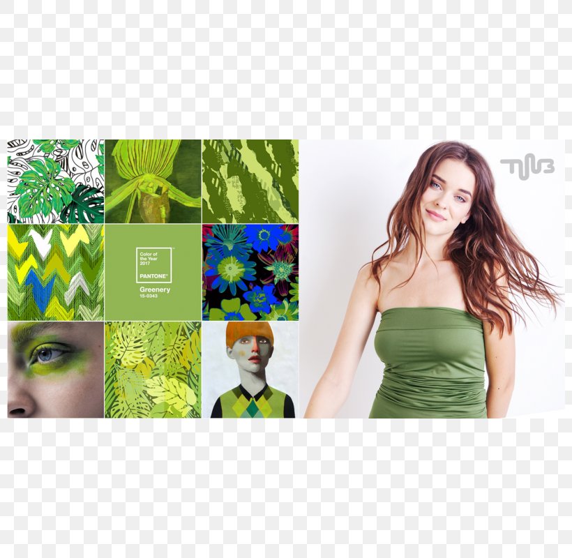 Green Color Pantone Pattern Clothing, PNG, 800x800px, 2017, Green, Brand, Clothing, Color Download Free