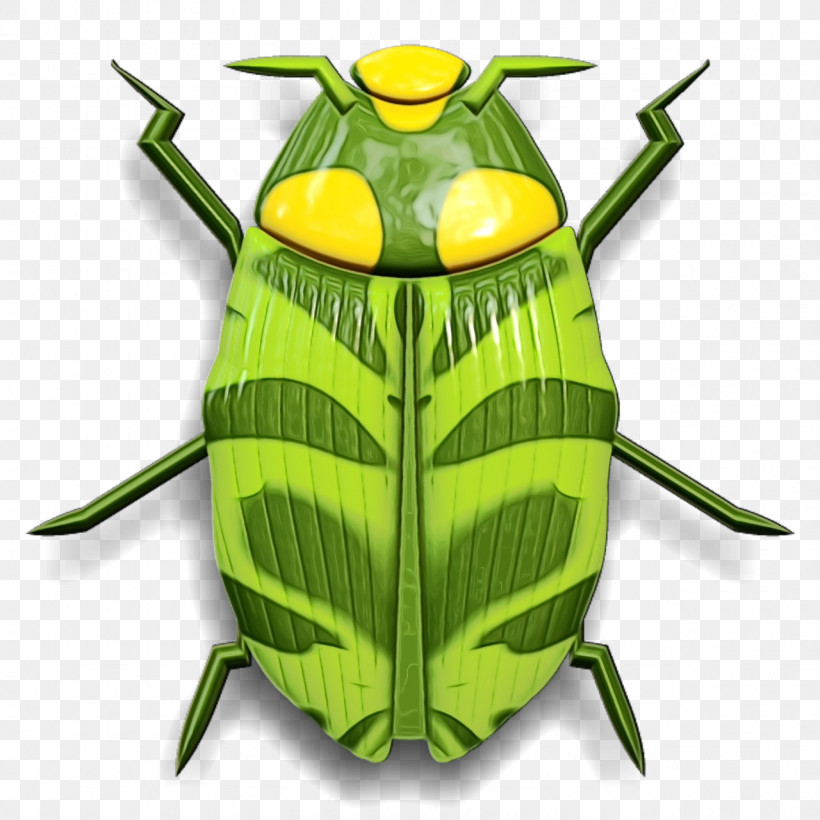 Insect Pest Bug, PNG, 1280x1280px, Watercolor, Bug, Insect, Paint, Pest Download Free