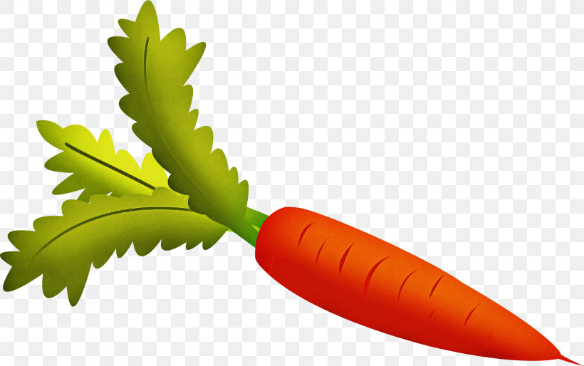 Leaf Carrot Plant Flower Vegetable, PNG, 2048x1285px, Leaf, Carrot, Flower, Plant, Vegetable Download Free