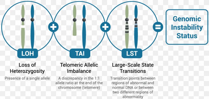 Loss Of Heterozygosity Myriad Genetics BRCA Mutation BRCA1 BRCA2, PNG, 970x463px, Myriad Genetics, Allele, Area, Blue, Brand Download Free