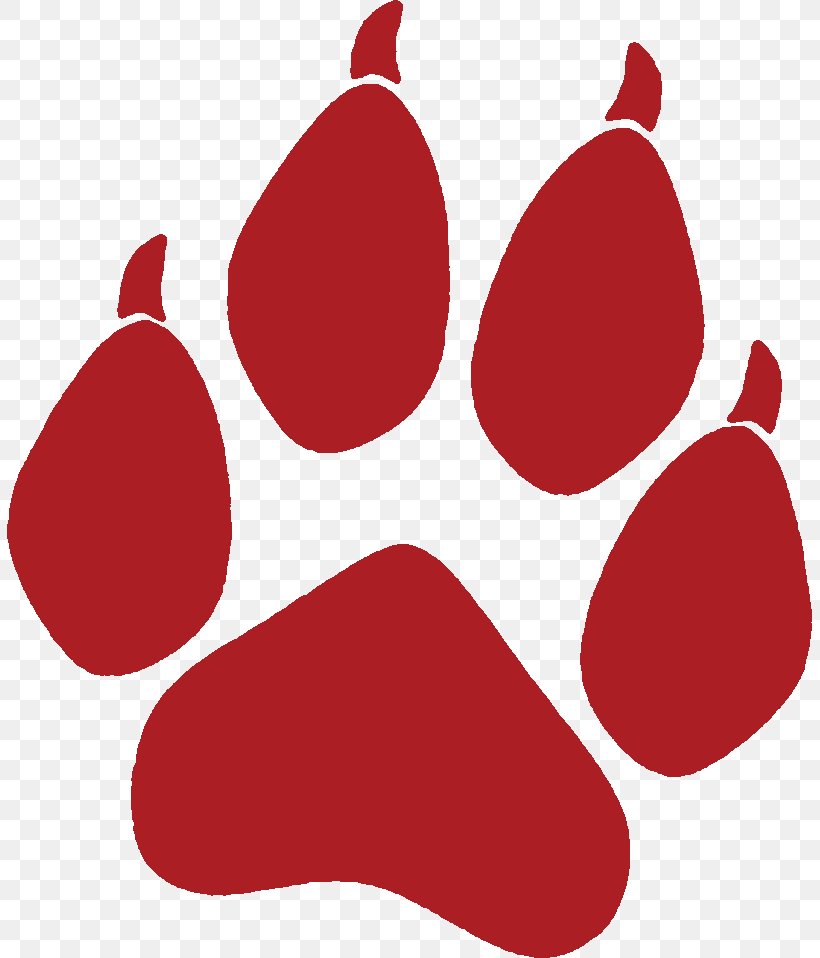 Paw Dog Coyote Cat Clip Art, PNG, 805x958px, Paw, Animal Track, Cat, Coyote, Dog Download Free