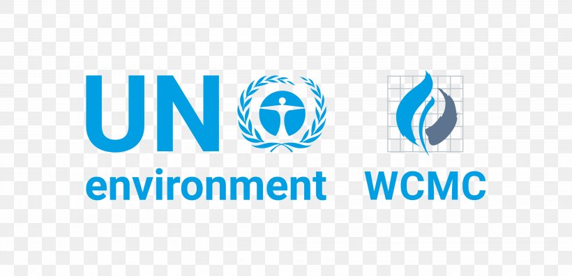 United Nations Framework Convention On Climate Change The United Nations Environment Programme United Nations Office At Geneva, PNG, 4008x1937px, United Nations Office At Geneva, Blue, Brand, Climate Change, Logo Download Free