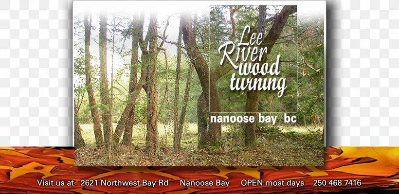 Woodturning Tree River, PNG, 1310x638px, Woodturning, Advertising, Biome, Copyright, Ecosystem Download Free