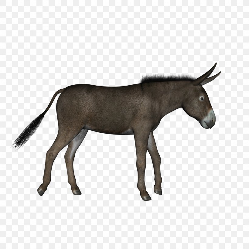Donkey Pixabay, PNG, 1280x1280px, Donkey, Colt, Donkey Walk, Fauna, Horn Download Free