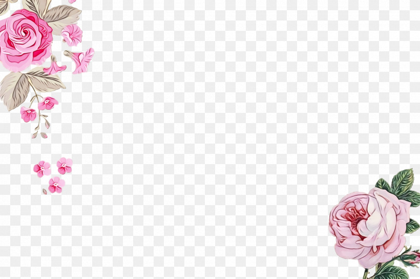 Garden Roses, PNG, 1920x1276px, Watercolor, Amen, Cabbage Rose, Cut Flowers, Dua Download Free