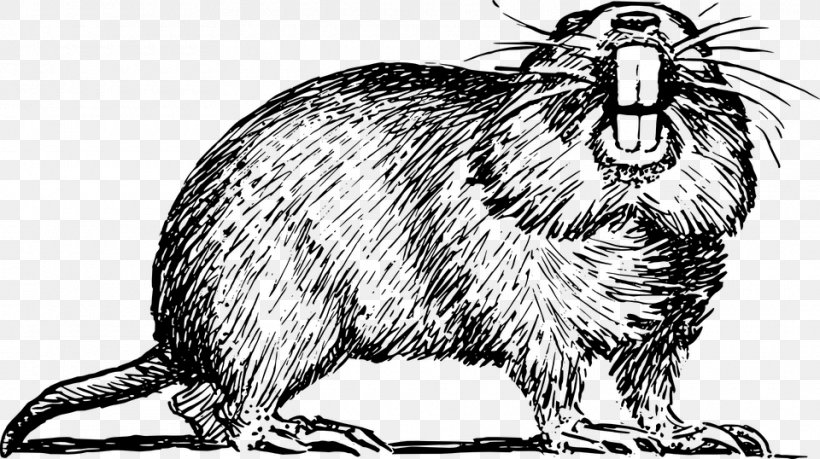 Gopher Eeyore Clip Art, PNG, 960x538px, Gopher, Beaver, Black And White, Carnivoran, Domestic Rabbit Download Free