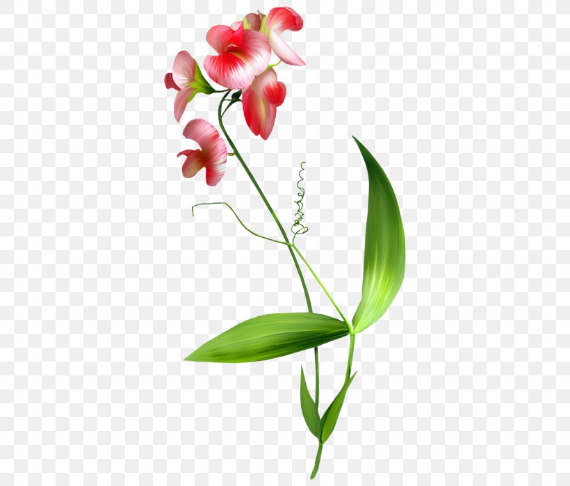 Flower Blume Clip Art, PNG, 366x699px, Flower, Blog, Blume, Bud, Cut Flowers Download Free