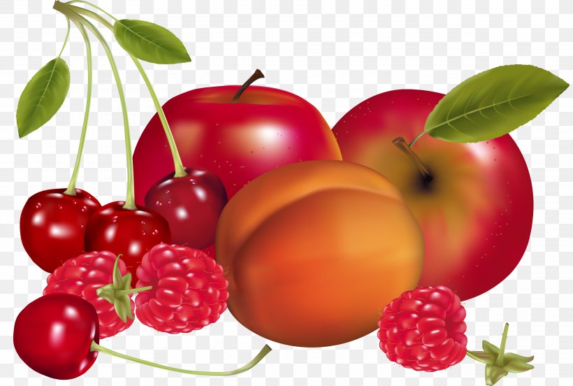 Juice Fruit Drawing Apricot, PNG, 2832x1908px, Juice, Accessory Fruit, Acerola, Apple, Apricot Download Free