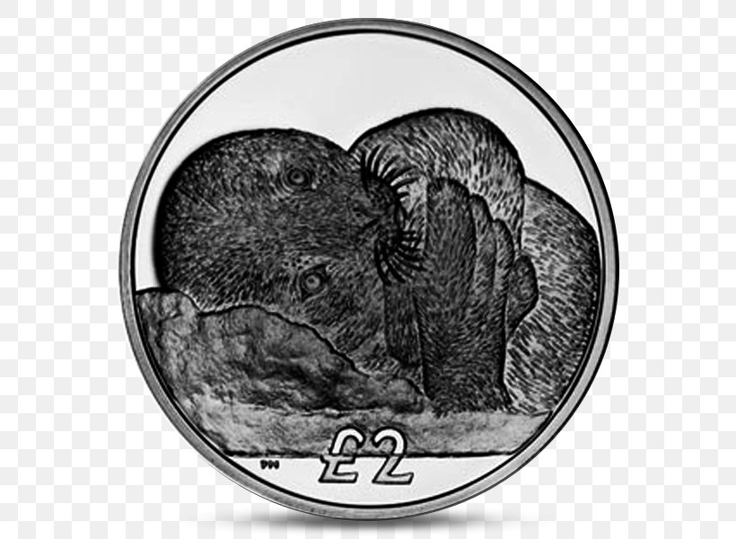 South Georgia Island Weddell Seal South Sandwich Islands United Kingdom Troy Weight, PNG, 600x600px, South Georgia Island, Animal, Black And White, Coin, Monochrome Photography Download Free
