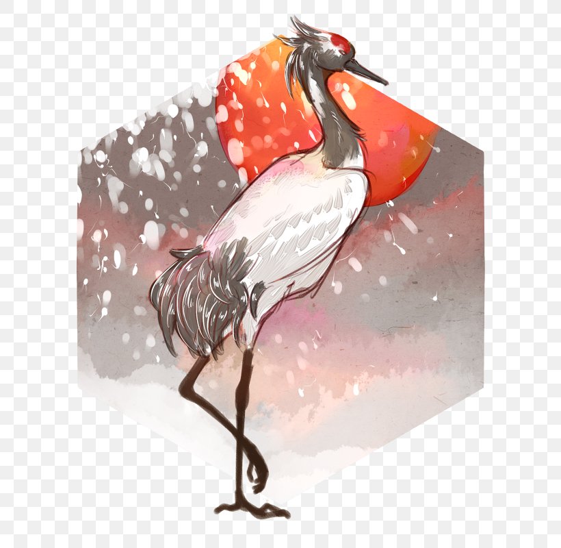 Water Bird Beak, PNG, 720x800px, Bird, Beak, Water Bird Download Free