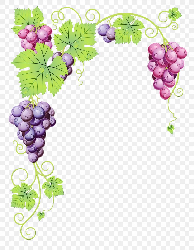 Drawing Of Family, PNG, 2566x3316px, Common Grape Vine, Drawing, Flower, Fruit, Grape Download Free