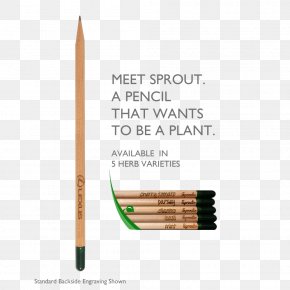 Sunflower Sprouts Growing - Pencil Engraving Product Design PNG