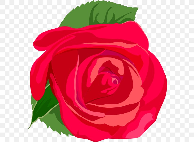 Rose Clip Art, PNG, 595x600px, Rose, China Rose, Computer Graphics, Flora, Floribunda Download Free