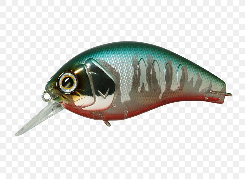 Spoon Lure Korrigan Depth Oily Fish, PNG, 800x600px, Spoon Lure, Bait, Bony Fish, Cartuccia Magnum, Depth Download Free