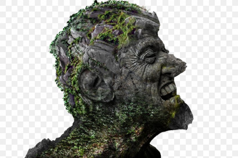 Statue Tree, PNG, 1024x683px, Statue, Head, Monument, Sculpture, Tree Download Free
