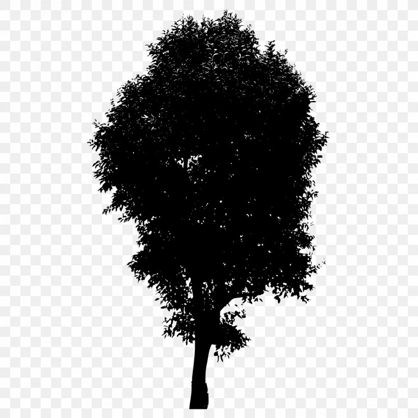 Branch Silhouette Royalty-free, PNG, 1600x1600px, Branch, Black And White, Can Stock Photo, Drawing, Line Art Download Free