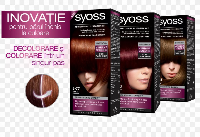 Hair Coloring Paint Bleach Dye, PNG, 1300x890px, Hair Coloring, Black Hair, Bleach, Blond, Brown Hair Download Free