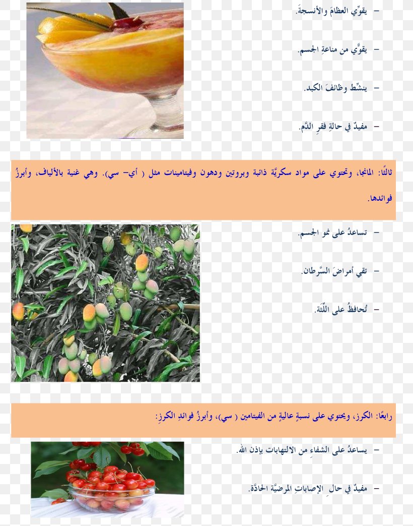 Natural Foods Superfood Local Food Font, PNG, 783x1043px, Food, Fruit, Local Food, Mangifera Indica, Mango Download Free