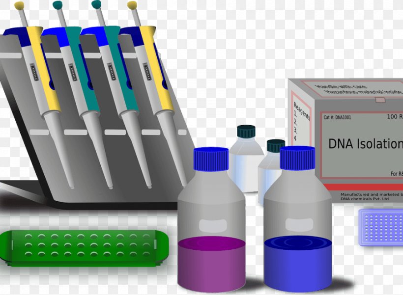 Molecular Biology Molecule Genetics Polymerase Chain Reaction, PNG, 900x660px, Molecular Biology, Biology, Cell, Cell Biology, Dna Download Free