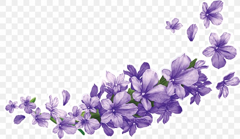 Shree Gulabsons & Co. Lavender Information, PNG, 999x579px, Lavender, Bellflower Family, Branch, Cut Flowers, English Lavender Download Free