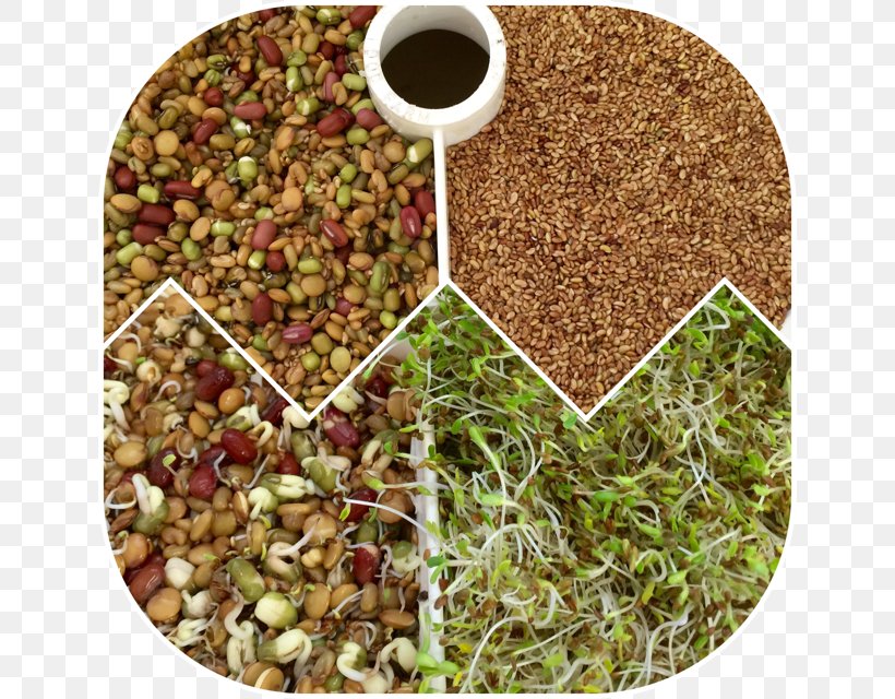 Vegetarian Cuisine Spice Superfood Mixture, PNG, 640x640px, Vegetarian Cuisine, Commodity, Food, Ingredient, La Quinta Inns Suites Download Free