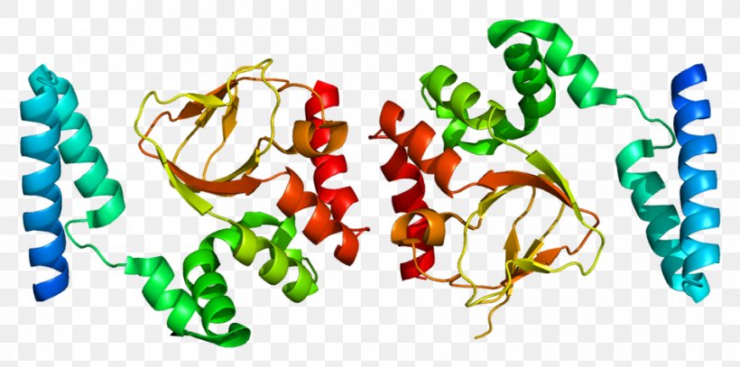 HCN2 HCN4 HCN Channel Cyclic Nucleotide–gated Ion Channel Funny Current, PNG, 953x474px, Chronic Pain, Chronic Condition, Cyclic Nucleotide, Food, Gene Download Free