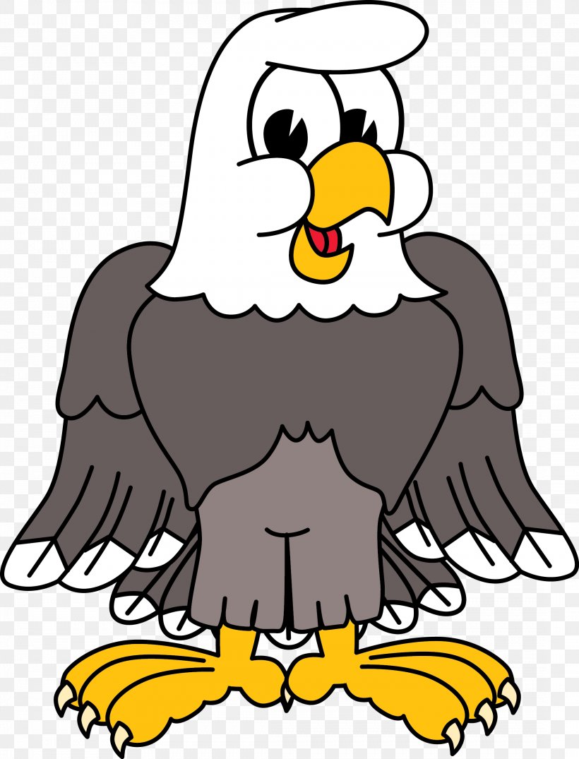 Bald Eagle Clip Art, PNG, 2173x2850px, Bald Eagle, Animation, Art, Artwork, Beak Download Free