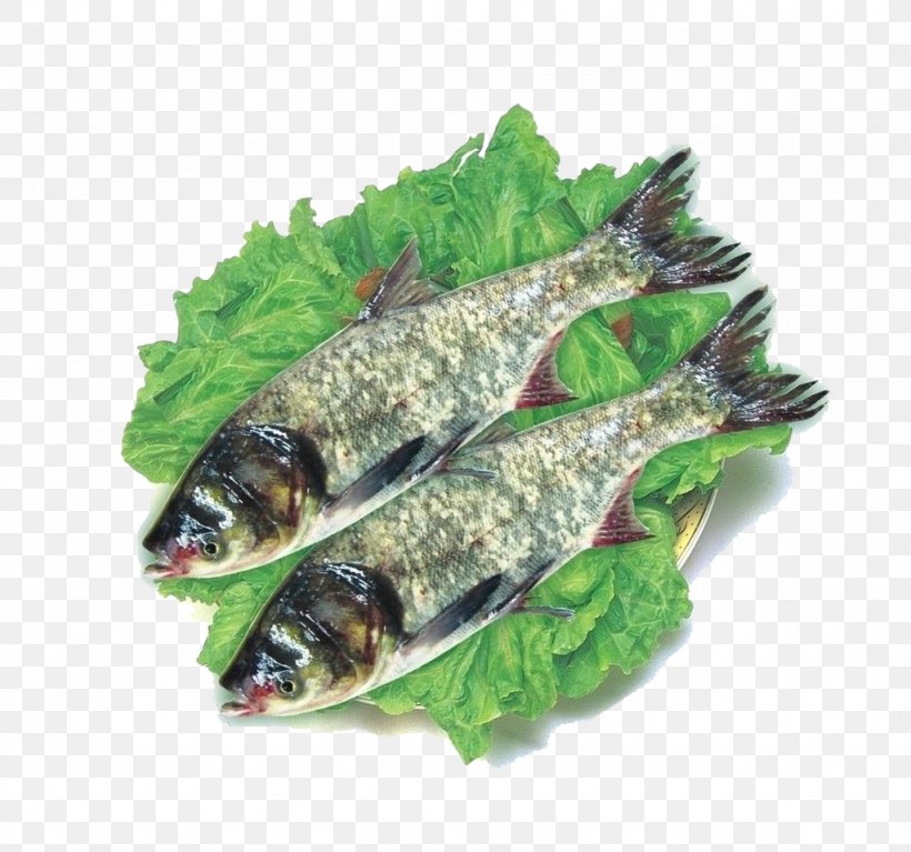 Bighead Carp Silver Carp Fish Soup, PNG, 1024x959px, Bighead Carp, Animal Source Foods, Carp, Crucian Carp, Dish Download Free