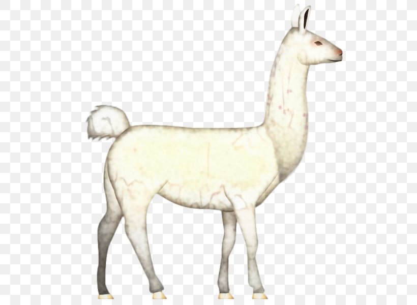 Llama Cartoon, PNG, 600x600px, Llama, Alpaca, Animal, Animal Figure, Camelid Download Free